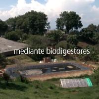 Biodigestores para generar energía en comunidades Nasa