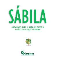 Sábila: generalidades sobre el manejo del cultivo de la sábila en la Guajira Colombiana