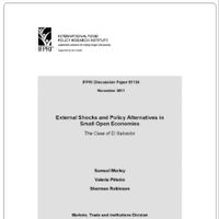 External shocks and policy alternatives in small open economies: The case of El Salvador