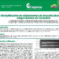 Biotipificación de aislamientos de Brucella abortus de origen bovino en Colombia-