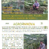 Sistema agroforestal con café, frutales, bio-insumos y manejo de tejidos, Comunidad de Bañaderos, Danli, El Paraíso.