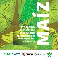 Producción de maíz para la seguridad alimentaria del departamento de Arauca