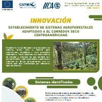 Innovación: establecimiento de sistemas agroforestales adaptados al corredor seco centroamericano