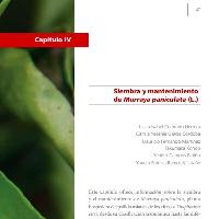 Siembra y mantenimiento de Murraya paniculata (L.)-