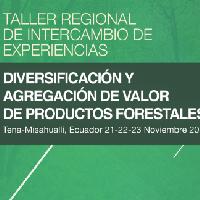 Taller regional de intercambio de experiencias: diversificación y agregación de valor de productos forestales