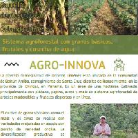 Sistema agroforestal con granos básicos, frutales y cosecha de agua, Distrito Renacimiento