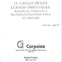 El grillo de los Llanos Orientales: biología, hábitos y recomendaciones para su manejo-