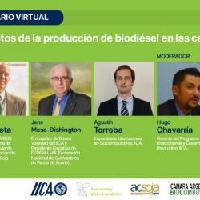 Impactos de la producción de biodiésel en las cadenas de valor: soja y palma