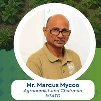 Increasing Yields Using Eco-Friendly Products and Practices