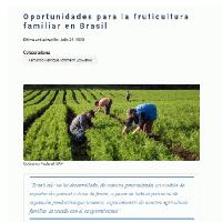 Oportunidades para la fruticultura familiar en Brasil