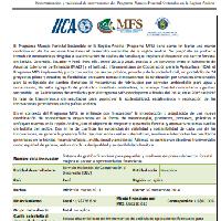 Sistema de gestión financiera para pequeñas y medianas empresas del sector forestal mejora el acceso a oportunidades financieras