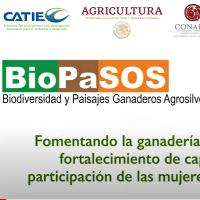 Participación de las mujeres en las Escuelas de Campo del proyecto BioPaSOS