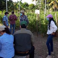 Fertilización químico-orgánica en el cultivo de tomate