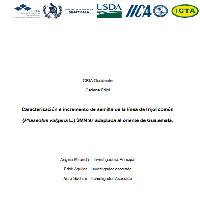 Caracterización e incremento de semilla de la línea de frijol común (Phaseolus vulgaris L.) SMN 97 adaptada al oriente de Guatemala