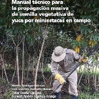 Manual técnico para la propagación masiva de semilla vegetativa de yuca por miniestacas en campo