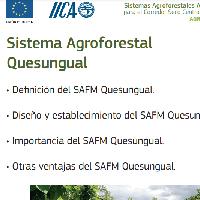 Sistema Agroforestal Quesungual