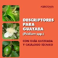 Descriptores para guayaba (Psidium spp.) con guía ilustrada y catálogo técnico