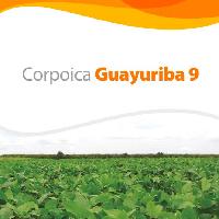 Corpoica Guayuriba 9: nueva variedad de soya para los ecosistemas del piedemonte llanero y los suelos mejorados de la altillanura plana