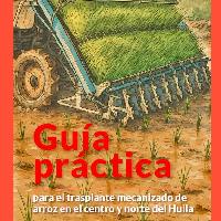Guía práctica para el trasplante mecanizado de arroz en el centro y norte del Huila