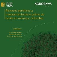 Recursos genéticos y mejoramiento de la palma de aceite en AGROSAVIA Colombia