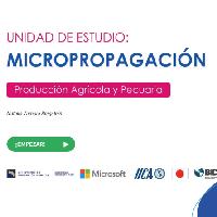 Unidad de estudio: Micropropagación