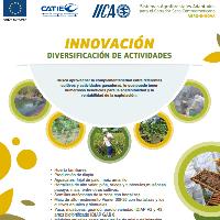 Innovación diversificación de actividades