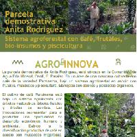 Sistema agroforestal con café, frutales, bio-insumos y piscicultura, Comunidad Agua Fría Mineral, Danlí, El Paraíso