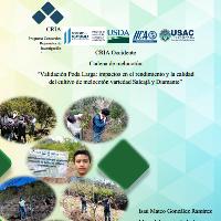 Validación Poda Larga: impactos en el rendimiento y la calidad del cultivo de melocotón variedad Salcajá y Diamante