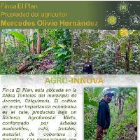 Finca El Plan, Aldea Tontoles