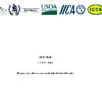 Promoción del consumo de frijol biofortificado