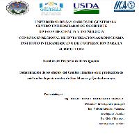 Determinación de los efectos del cambio climático en la producción de miel en los departamentos de San Marcos y Quetzaltenango