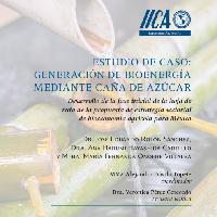 Estudio de caso: Generación de bioenergía mediante caña de azúcar