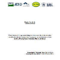 Caracterización agromorfológica e incremento de tubérculosemilla de clones avanzados de papa con resistencia a tizón tardío (Phytophtora infestans Mont. de Bary)