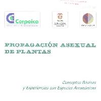 Propagación asexual de las plantas: conceptos básicos y experiencias con especies amazónicas.-