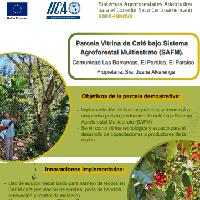 Parcela Vitrina de Café bajo Sistema Agroforestal Multiestrato (SAFM). Comunidad Las Barrancas, El Paraíso, El Paraíso