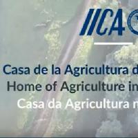 Seminario Bioeconomía y Desarrollo Agrícola Sostenible, 24 de agosto 2022