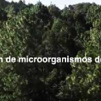 Recolección de microrganismos de montaña