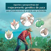 Aportes y perspectivas del mejoramiento genético de yuca para el fortalecimiento de su red de valor en Colombia
