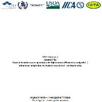 Caracterización nueve genotipos de frijol común (Phaseolus vulgaris L.) arbustivos adaptados al altiplano occidental de Guatemala
