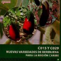 C015 y C0129: Nuevas variedades de berenjena para la Región Caribe-