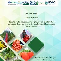 Tomate: evaluación de materia orgánica para su cultivo bajo condiciones de macrotúnel, en dos localidades del departamento de San Marcos