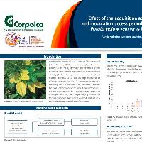 Effect of the acquisition access period, retention period and inoculation access period on transmission efficiency of Potato yellow vein virus by Trialeurodes vaporariorum-
