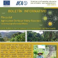 Finca Aldea Raxjut Sistema Agroforestal Mixto