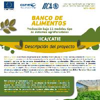 Banco de alimentos: Producción bajo 11 modelos tipo de sistemas agroforestales