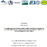 Caracterización agromorfológica, calidad de grano y producción de semilla para promoción y liberación de una nueva variedad de maíz de grano amarillo para el Trópico de Guatemala. Fase I y Fase II