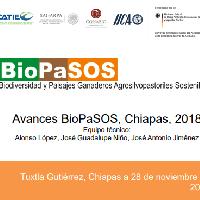 Avances BioPaSOS, Chiapas, 2018