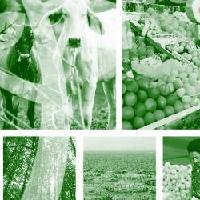 Programa Perspectivas de la agricultura. Parte 2