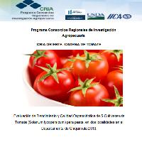 Evaluación de Rendimiento y Calidad Orgnaoléptica de 5 Cultivares de Tomate (Solanum lycopersicum) para pasta, en dos localidades en el Departamento de Chiquimula 2019