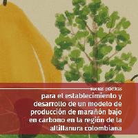 Buenas prácticas para el establecimiento y desarrollo de un modelo de producción de marañón bajo en carbono en la región de la altillanura colombiana