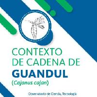 Contexto de cadena de guandul (Cajanus cajan)